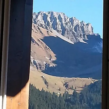Sleeps 10 Wifi Apartmán Adelboden